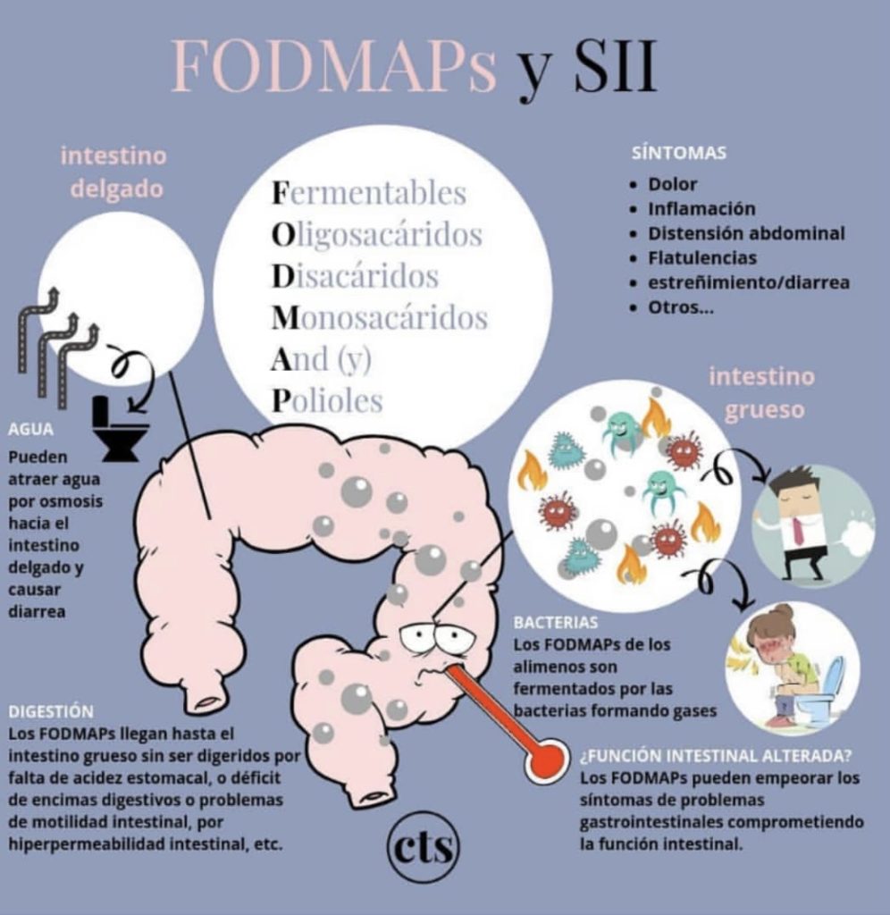 Dieta foam